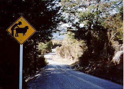 rural_road_sign.gif